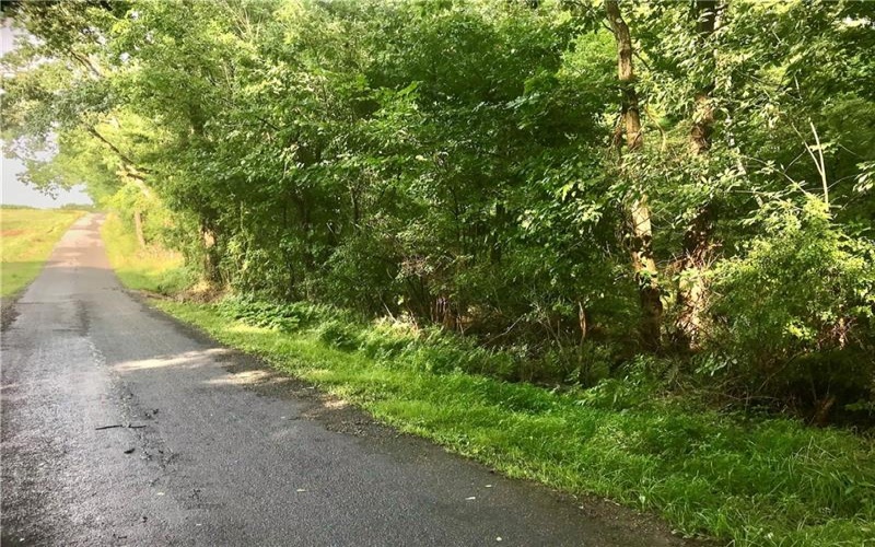 0 Palko Road, Saltsburg, 15681, ,Farm-acreage-lot,For Sale,Palko Road,1765618