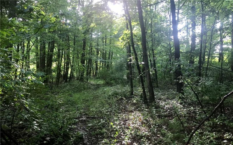 0 Palko Road, Saltsburg, 15681, ,Farm-acreage-lot,For Sale,Palko Road,1765618
