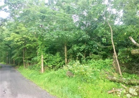 0 Palko Road, Saltsburg, 15681, ,Farm-acreage-lot,For Sale,Palko Road,1765618