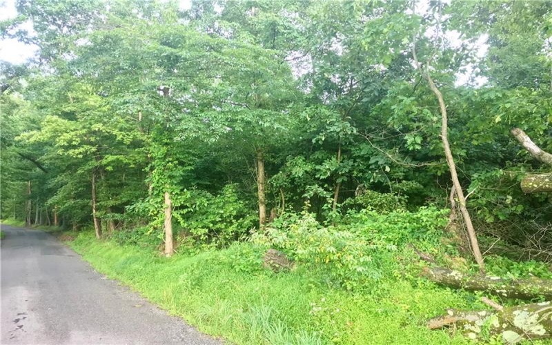 0 Palko Road, Saltsburg, 15681, ,Farm-acreage-lot,For Sale,Palko Road,1765618