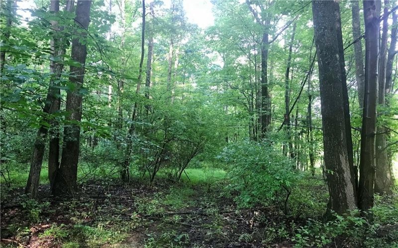 0 Palko Road, Saltsburg, 15681, ,Farm-acreage-lot,For Sale,Palko Road,1765618