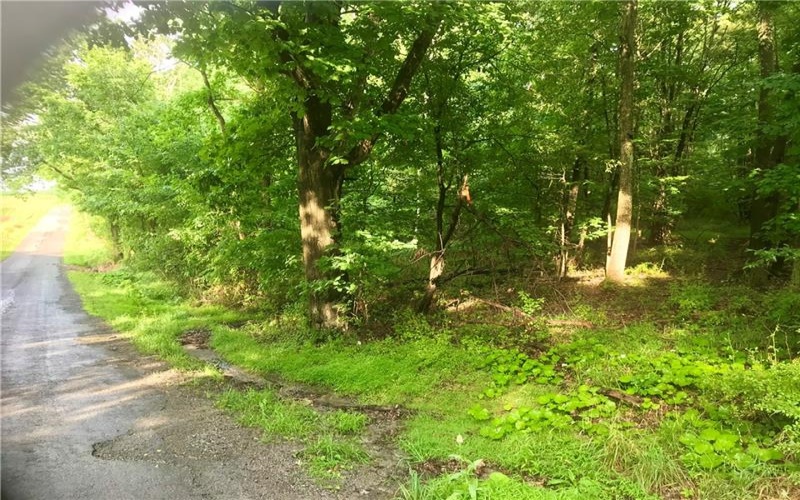 0 Palko Road, Saltsburg, 15681, ,Farm-acreage-lot,For Sale,Palko Road,1765618