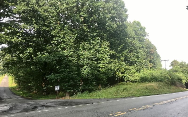0 Palko Road, Saltsburg, 15681, ,Farm-acreage-lot,For Sale,Palko Road,1765618