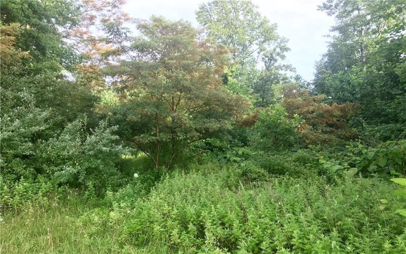 0 Palko Road, Saltsburg, 15681, ,Farm-acreage-lot,For Sale,Palko Road,1765618
