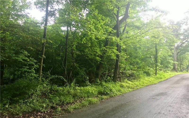 0 Palko Road, Saltsburg, 15681, ,Farm-acreage-lot,For Sale,Palko Road,1765618