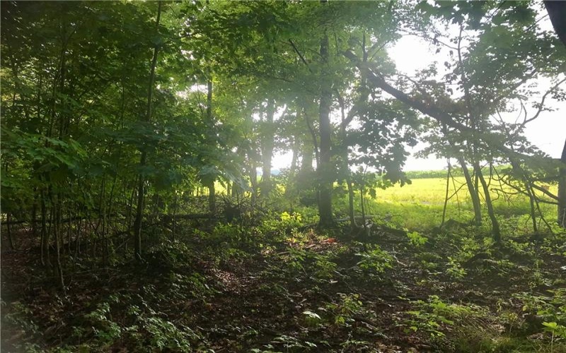 0 Palko Road, Saltsburg, 15681, ,Farm-acreage-lot,For Sale,Palko Road,1765618