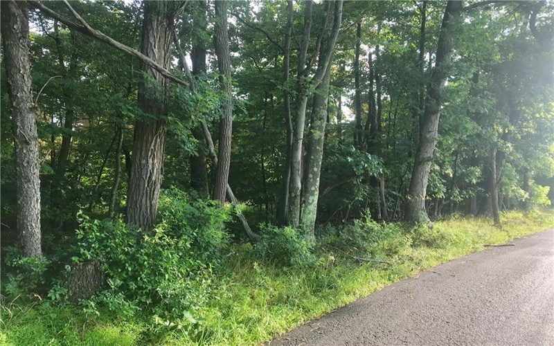 0 Palko Road, Saltsburg, 15681, ,Farm-acreage-lot,For Sale,Palko Road,1765618
