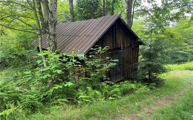 196 Grimm Road, Champion, 15456, ,Farm-acreage-lot,For Sale,Pavilion, Coal House,Grimm Road,1765663