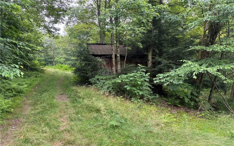 196 Grimm Road, Champion, 15456, ,Farm-acreage-lot,For Sale,Pavilion, Coal House,Grimm Road,1765663