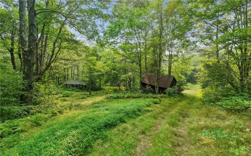 196 Grimm Road, Champion, 15456, ,Farm-acreage-lot,For Sale,Pavilion, Coal House,Grimm Road,1765663