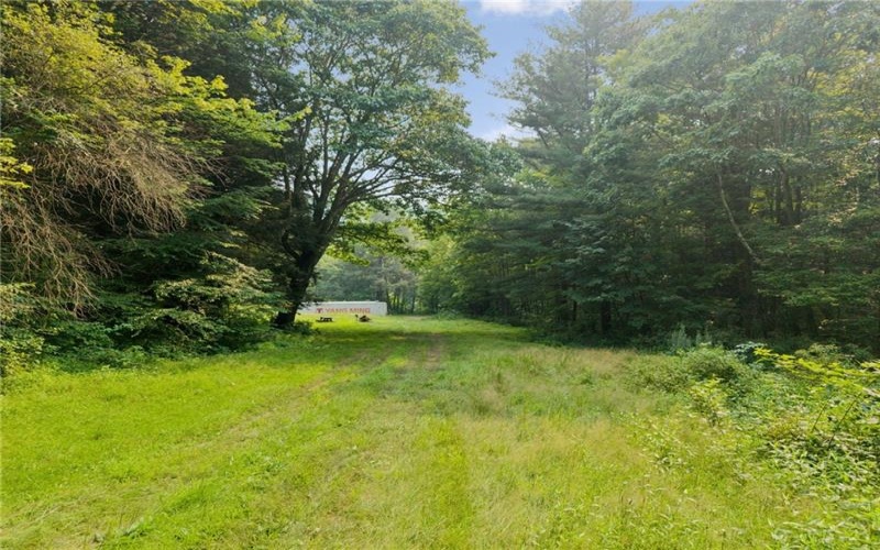 196 Grimm Road, Champion, 15456, ,Farm-acreage-lot,For Sale,Pavilion, Coal House,Grimm Road,1765663