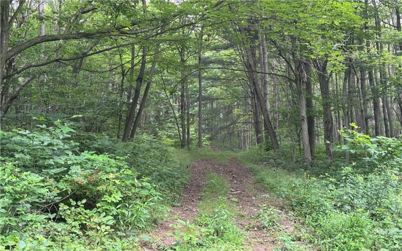 196 Grimm Road, Champion, 15456, ,Farm-acreage-lot,For Sale,Pavilion, Coal House,Grimm Road,1765663