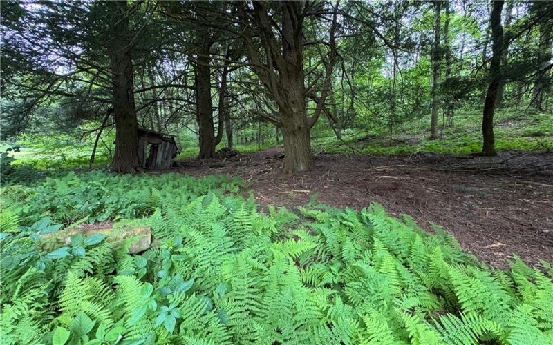 196 Grimm Road, Champion, 15456, ,Farm-acreage-lot,For Sale,Pavilion, Coal House,Grimm Road,1765663