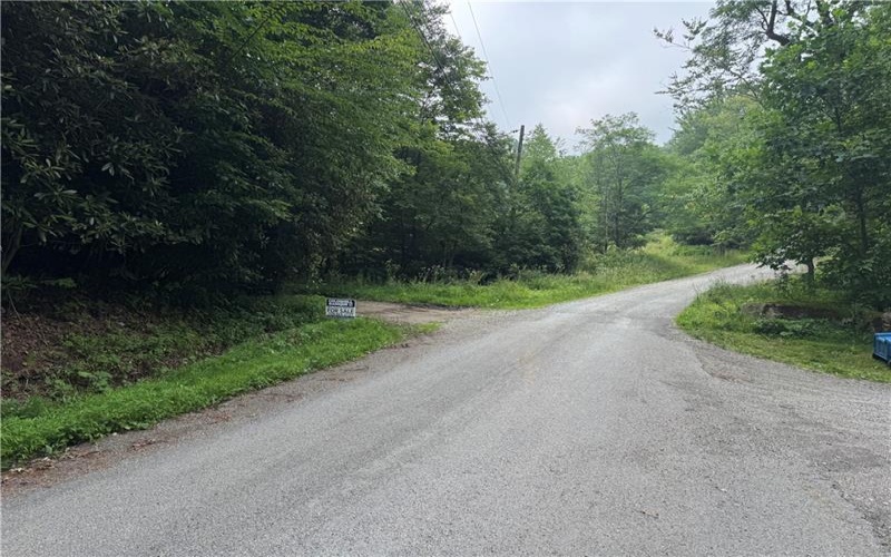 196 Grimm Road, Champion, 15456, ,Farm-acreage-lot,For Sale,Pavilion, Coal House,Grimm Road,1765663