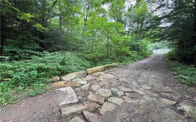 196 Grimm Road, Champion, 15456, ,Farm-acreage-lot,For Sale,Pavilion, Coal House,Grimm Road,1765663