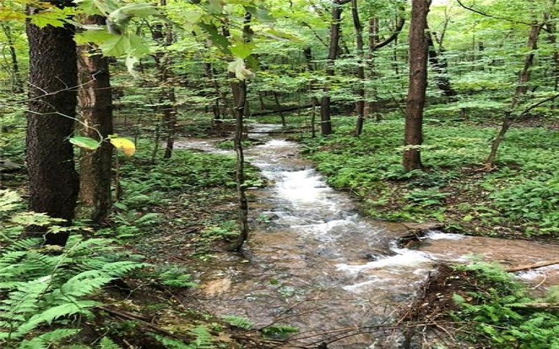 196 Grimm Road, Champion, 15456, ,Farm-acreage-lot,For Sale,Pavilion, Coal House,Grimm Road,1765663