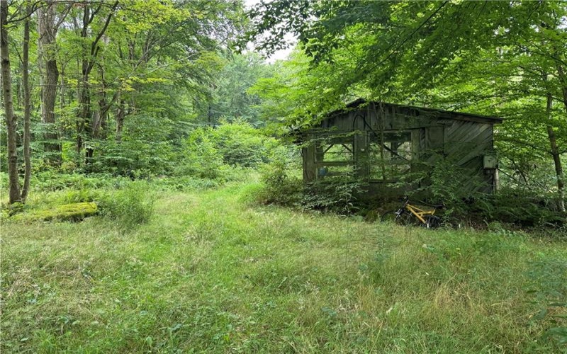 196 Grimm Road, Champion, 15456, ,Farm-acreage-lot,For Sale,Pavilion, Coal House,Grimm Road,1765663