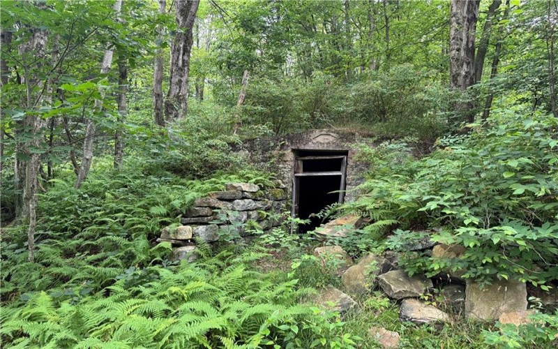 196 Grimm Road, Champion, 15456, ,Farm-acreage-lot,For Sale,Pavilion, Coal House,Grimm Road,1765663