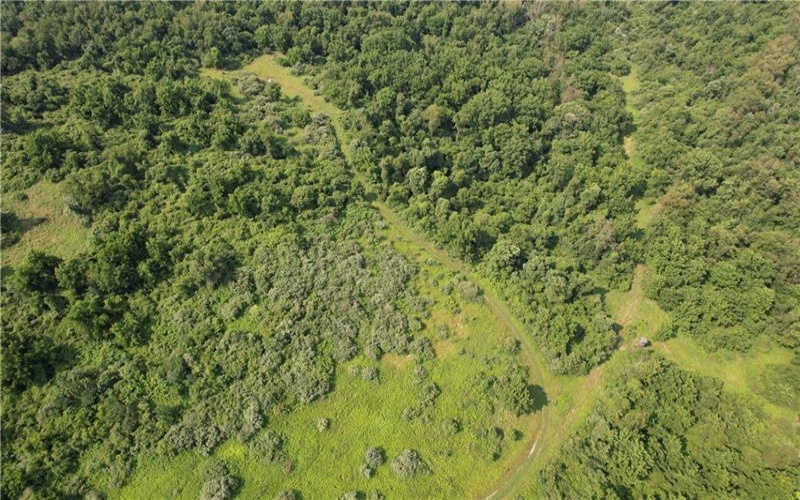 213 Turnpike Road, Mount Pleasant, 15666, ,Farm-acreage-lot,For Sale,Turnpike Road,1765874