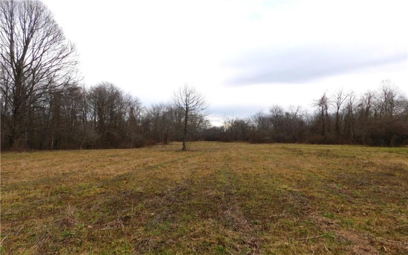 SR188 Jefferson Road, Rices Landing, 15357, ,Farm-acreage-lot,For Sale,Jefferson Road,1767484