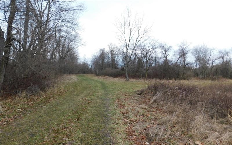 SR188 Jefferson Road, Rices Landing, 15357, ,Farm-acreage-lot,For Sale,Jefferson Road,1767484