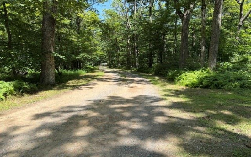 Lot 87 Laurel, Central City, 15926, ,Farm-acreage-lot,For Sale,Laurel,1767510