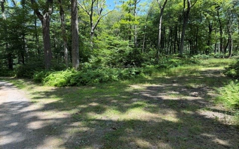 Lot 87 Laurel, Central City, 15926, ,Farm-acreage-lot,For Sale,Laurel,1767510