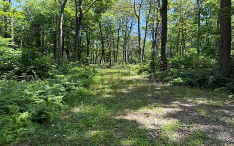 Lot 87 Laurel, Central City, 15926, ,Farm-acreage-lot,For Sale,Laurel,1767510