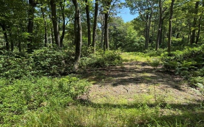 Lot 87 Laurel, Central City, 15926, ,Farm-acreage-lot,For Sale,Laurel,1767510