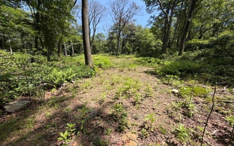 Lot 87 Laurel, Central City, 15926, ,Farm-acreage-lot,For Sale,Laurel,1767510