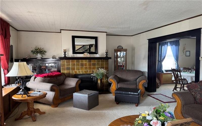 530 Green Street, Brownsville, 15417, 3 Bedrooms Bedrooms, 7 Rooms Rooms,1 BathroomBathrooms,Residential,For Sale,Green Street,1766270