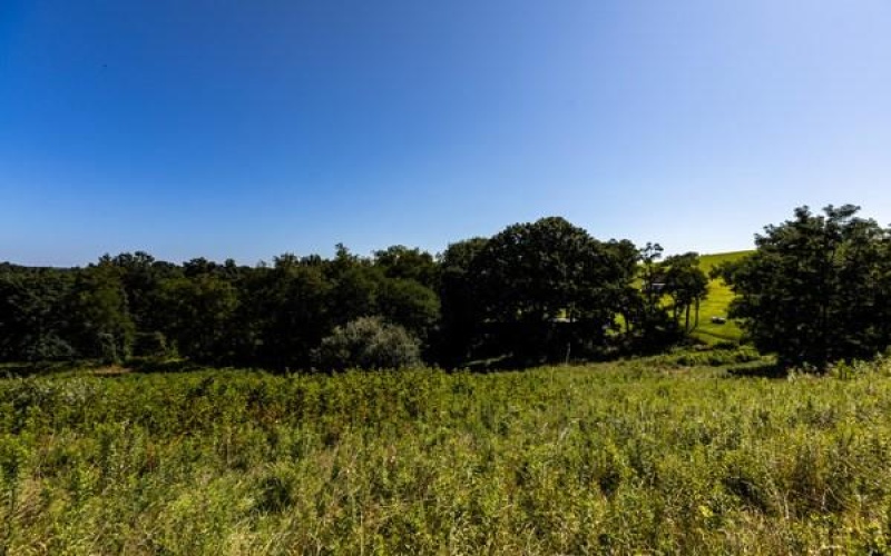 0 Young Road, Claysville, 15323, ,Farm-acreage-lot,For Sale,Young Road,1767748