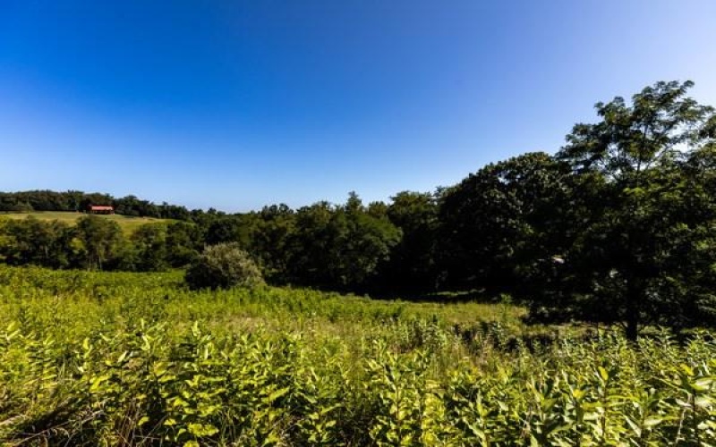 0 Young Road, Claysville, 15323, ,Farm-acreage-lot,For Sale,Young Road,1767748