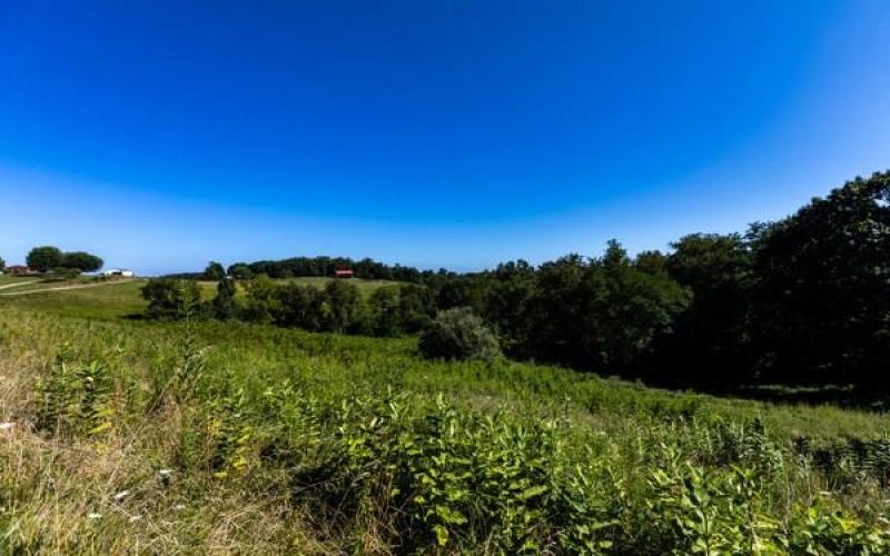 0 Young Road, Claysville, 15323, ,Farm-acreage-lot,For Sale,Young Road,1767748