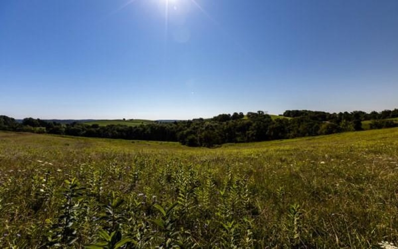 0 Young Road, Claysville, 15323, ,Farm-acreage-lot,For Sale,Young Road,1767748