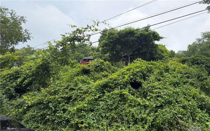 660 2nd St, Fairbank, 15435, ,Farm-acreage-lot,For Sale,2nd St,1764741