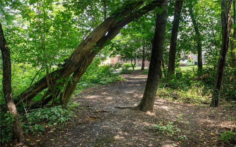 175 Ellsworth St, California, 15419, 3 Bedrooms Bedrooms, 10 Rooms Rooms,2.2 BathroomsBathrooms,Residential,For Sale,Ellsworth St,1766556
