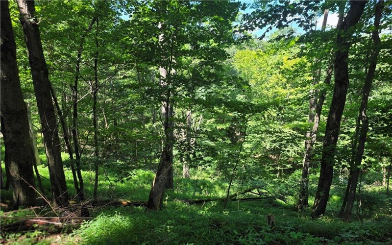 160 Derry Ridge Rd, Ligonier, 15658, 2 Bedrooms Bedrooms, ,1 BathroomBathrooms,Farm-acreage-lot,For Sale,House,Garage,Barn,Shed,Derry Ridge Rd,1768664
