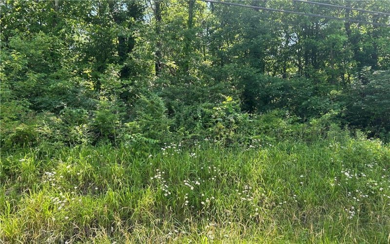 Lot 9 Hickory Square Rd, Connellsville, 15425, ,Farm-acreage-lot,For Sale,Hickory Square Rd,1768870