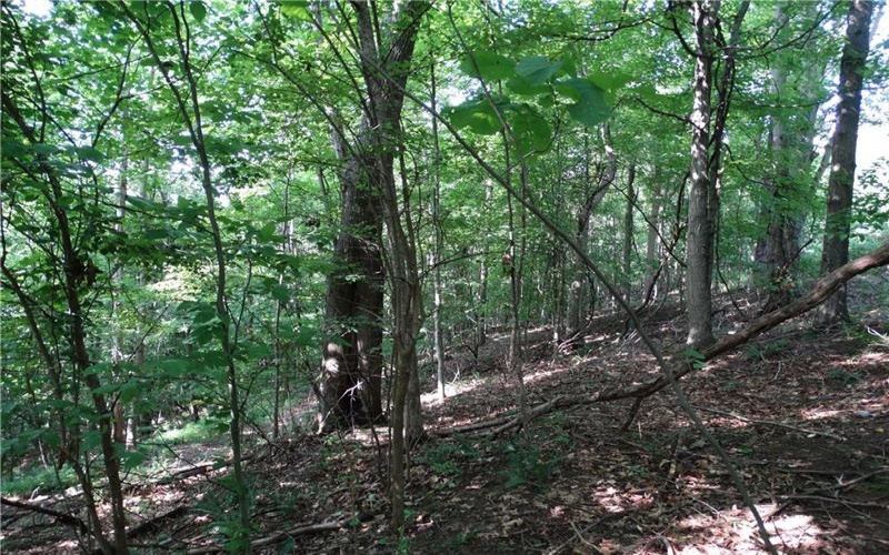 00 & 02 Moscow Rd, Amwell, 15311, ,Farm-acreage-lot,For Sale,Moscow Rd,1768825