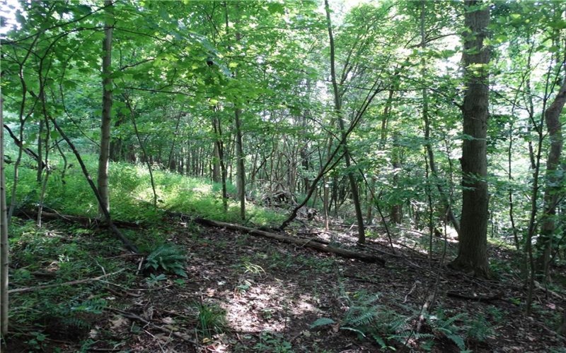 00 & 02 Moscow Rd, Amwell, 15311, ,Farm-acreage-lot,For Sale,Moscow Rd,1768825