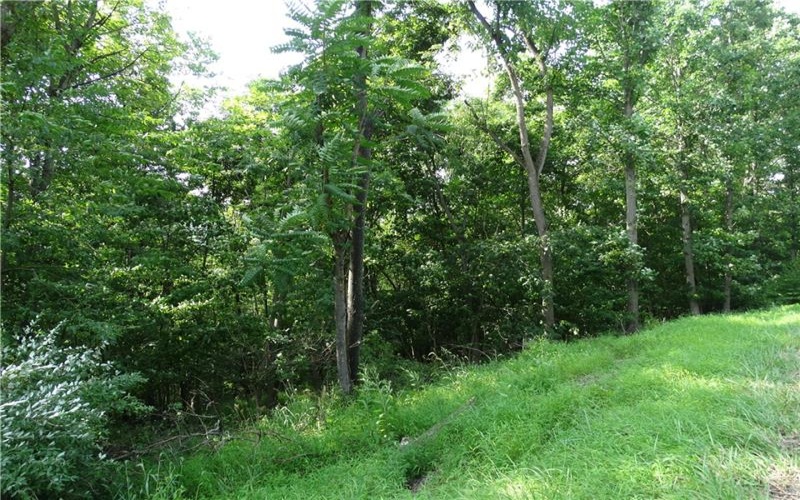 00 & 02 Moscow Rd, Amwell, 15311, ,Farm-acreage-lot,For Sale,Moscow Rd,1768825