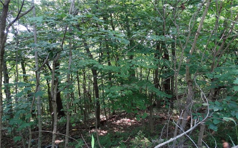 00 & 02 Moscow Rd, Amwell, 15311, ,Farm-acreage-lot,For Sale,Moscow Rd,1768825