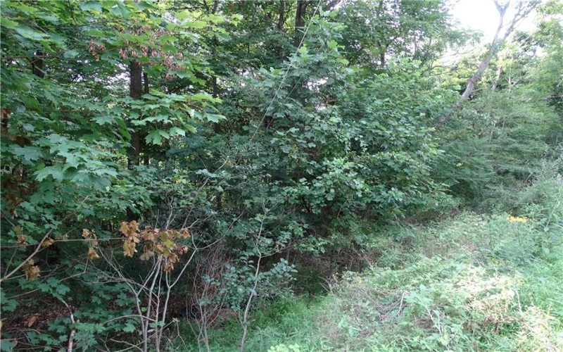 00 & 02 Moscow Rd, Amwell, 15311, ,Farm-acreage-lot,For Sale,Moscow Rd,1768825