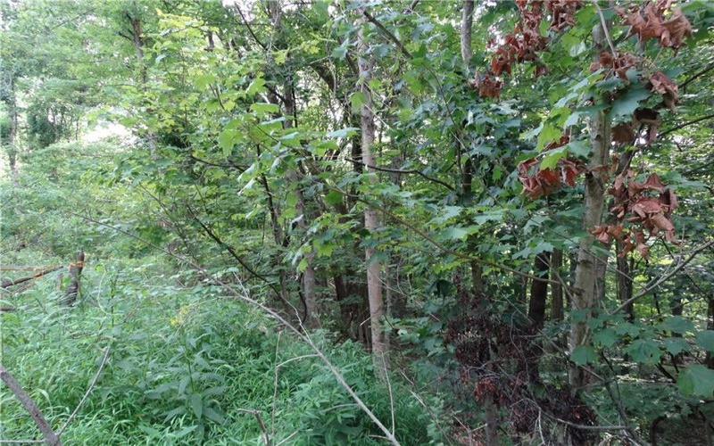 00 & 02 Moscow Rd, Amwell, 15311, ,Farm-acreage-lot,For Sale,Moscow Rd,1768825