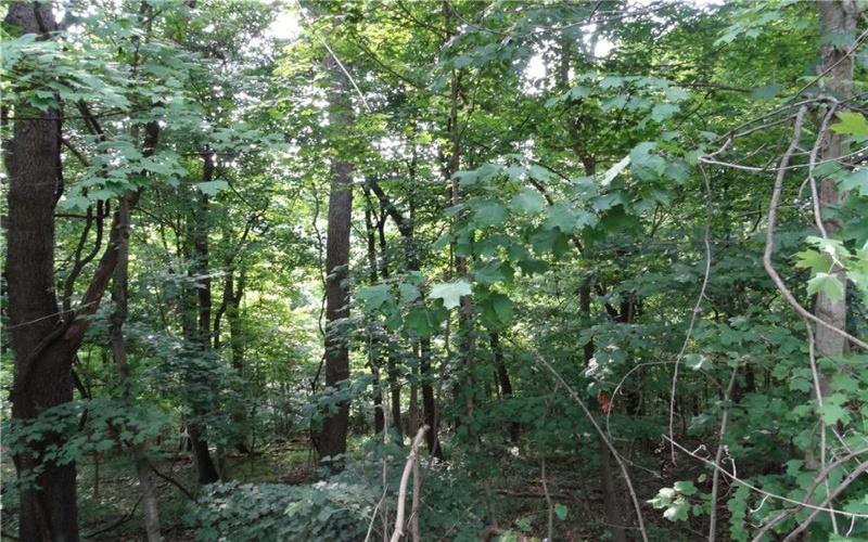00 & 02 Moscow Rd, Amwell, 15311, ,Farm-acreage-lot,For Sale,Moscow Rd,1768825