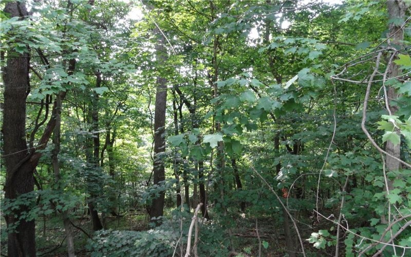 00 & 02 Moscow Rd, Amwell, 15311, ,Farm-acreage-lot,For Sale,Moscow Rd,1768825
