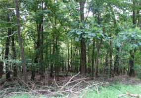 00 & 02 Moscow Rd, Amwell, 15311, ,Farm-acreage-lot,For Sale,Moscow Rd,1768825