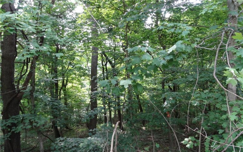 00 & 02 Moscow Rd, Amwell, 15311, ,Farm-acreage-lot,For Sale,Moscow Rd,1768825