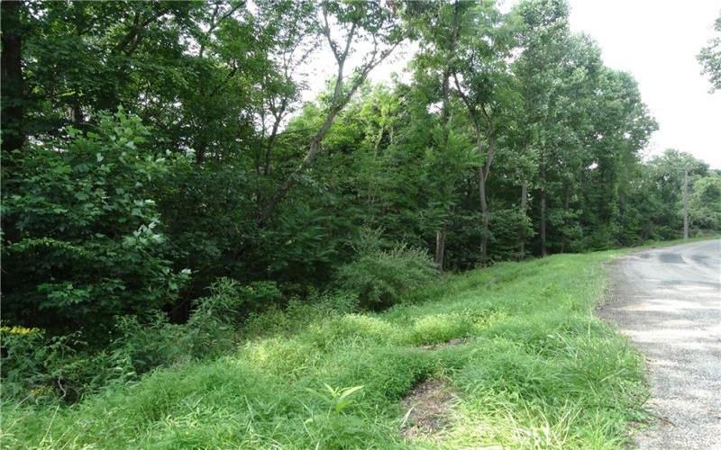 00 & 02 Moscow Rd, Amwell, 15311, ,Farm-acreage-lot,For Sale,Moscow Rd,1768825